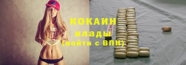 дживик Аркадак