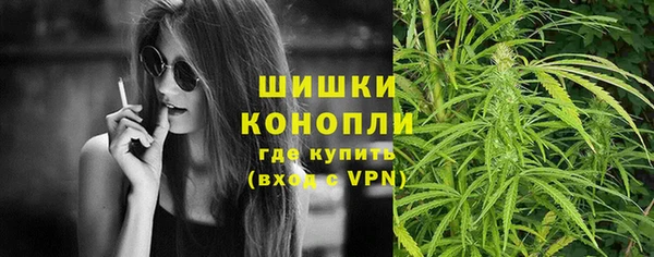 дживик Арсеньев