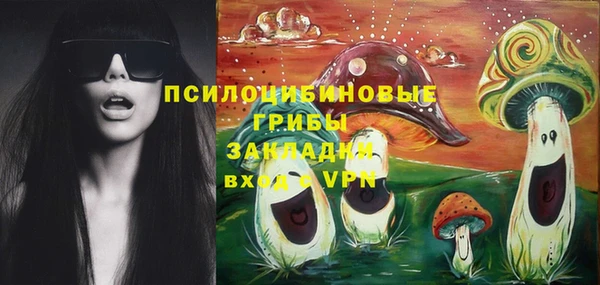 бошки Армянск