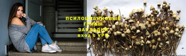 дживик Арсеньев