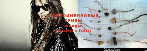 дживик Аркадак