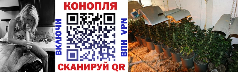 Бошки Шишки конопля Сычёвка